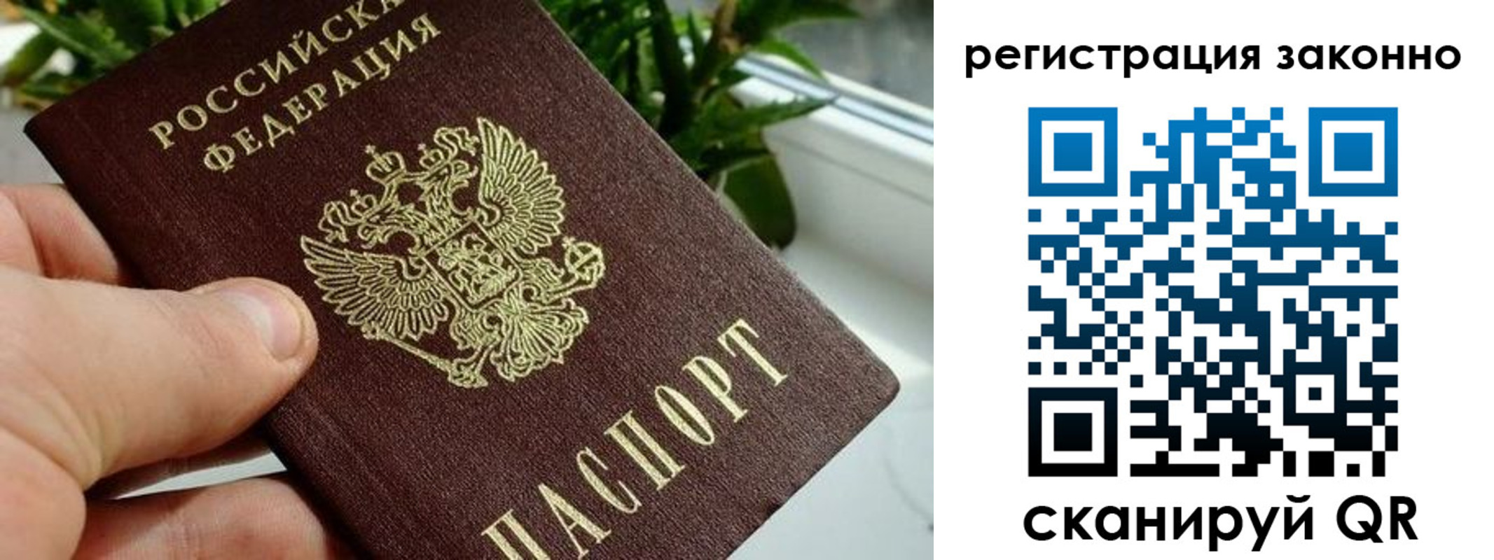 прописка гарантия в Карелии